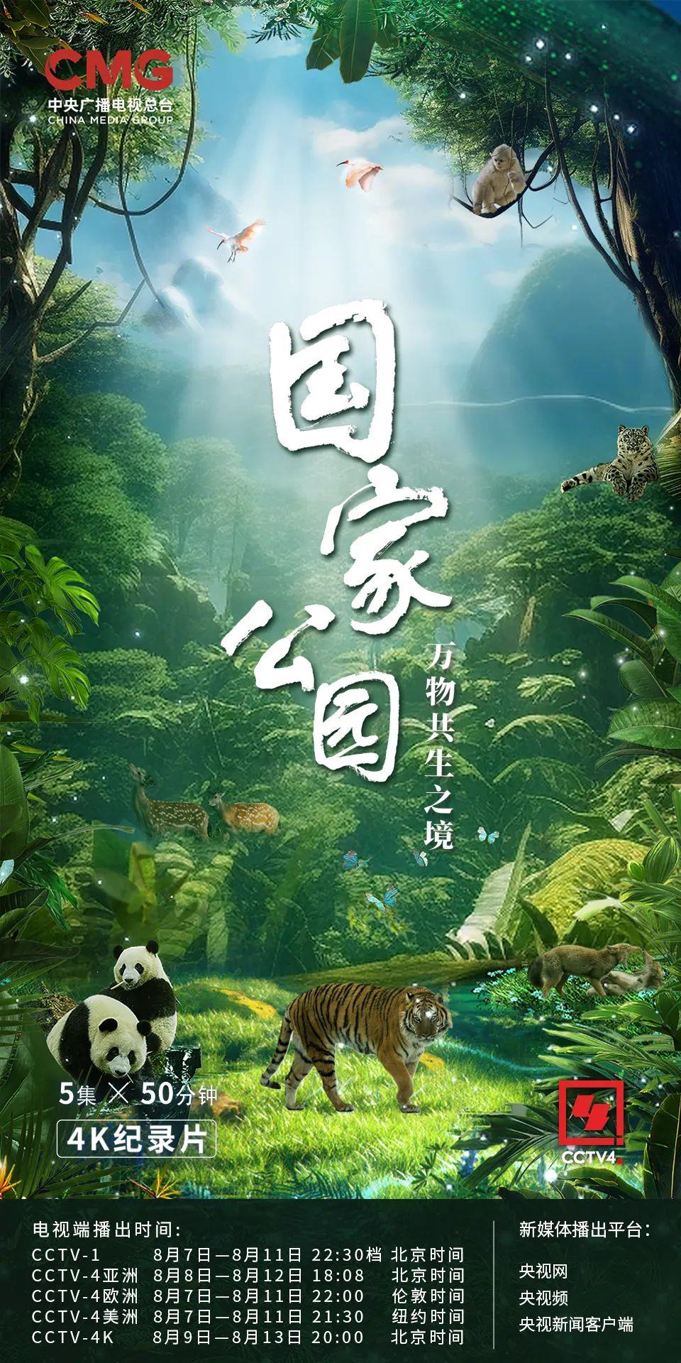 今起播出！《國家公園·萬物共生之境》盡顯生態之美