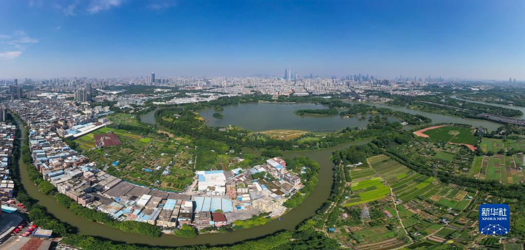 （新華全媒+）濕地之美丨廣州海珠濕地