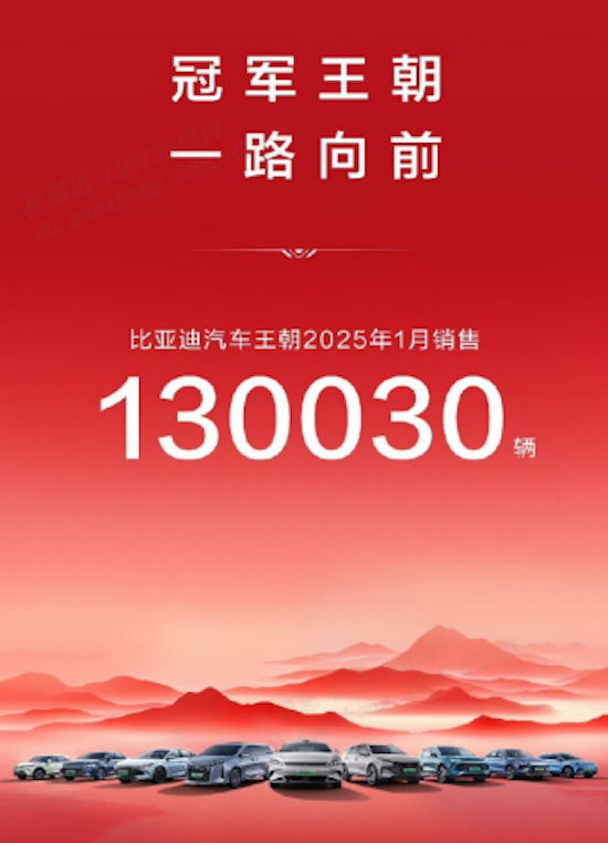 中國銷冠 比亞迪2025年1月銷售30 萬台