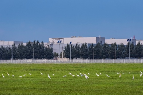 “BMW 美麗家園行動”發佈生物多樣性保護公眾參與數字平臺_fororder_image004