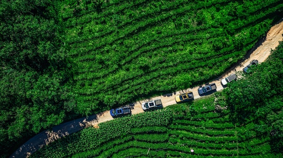 感受基諾族與熱帶雨林和諧共生 福特汽車環保獎助力鄉村可持續發展_fororder_image003