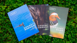 “奧迪中國自然城市行動”攜手北京綠化基金會發佈《北京自然城市濕地遊賞指南》  位置：資訊