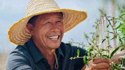 大眾汽車集團（中國）耕綠五載：兩千萬平米沙地重煥生機 位置：資訊