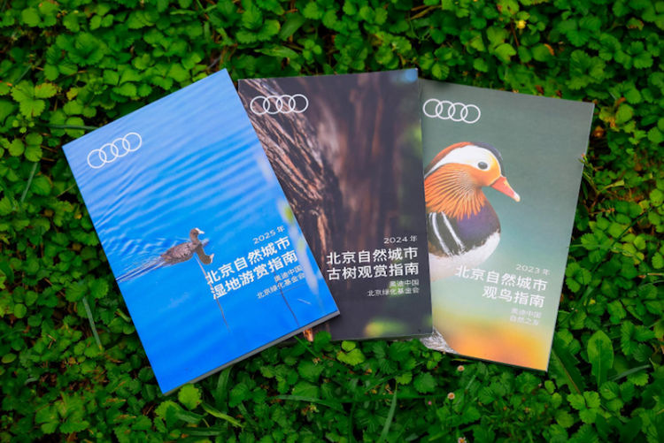 “奧迪中國自然城市行動”攜手北京綠化基金會發佈《北京自然城市濕地遊賞指南》  位置：資訊_fororder_“奧迪中國自然城市行動”攜手北京綠化基金會發佈《北京自然城市濕地遊賞指南》1050