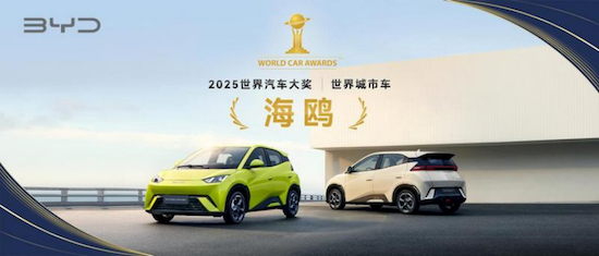 【資訊】比亞迪海鷗榮獲“2025世界城市車”冠軍_fororder_【6】比亞迪海鷗榮獲“2025世界城市車”冠軍256