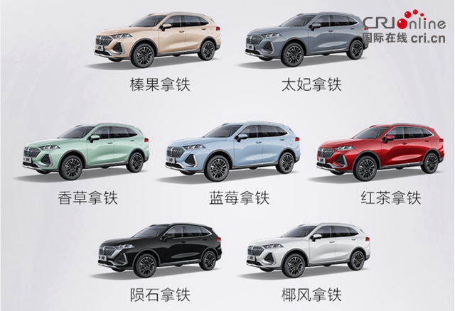 【汽車頻道 資訊+要聞列表】兩種動力版本四大同級最強智慧技術 魏牌拿鐵第四季度到來_fororder_image017