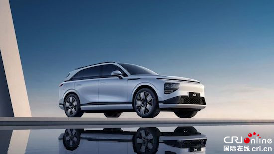從2021財報看小鵬汽車如何保持驚人增速_fororder_image003