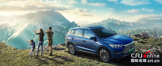 全球2月新能源汽車銷量TOP 20：比亞迪獨佔6席_fororder_image002