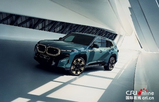 持續引領高性能細分市場 創新BMW XM正式上市_fororder_image001的副本