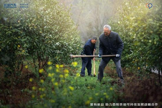 讓茶油一路飄香 長安汽車幫扶鋪就鄉村振興“共富”路_fororder_image006
