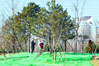 北京城區東南部新增三大郊野公園