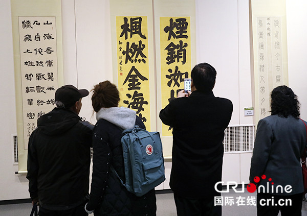 圖片默認標題_fororder_市民觀看第十一屆上元雅集“友誼獎”書法作品展 攝影楊賓.JPG