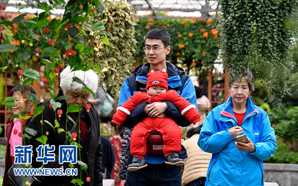 北京：賞花卉 過春節