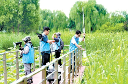 經開區摸底生物多樣性