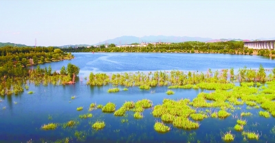 密雲水庫下游現水綠相融美景