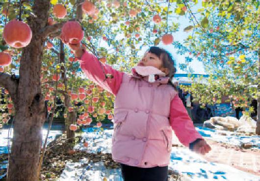 “金秋匯聚 暢遊昌平” 2021年昌平秋冬文化旅遊季啟動