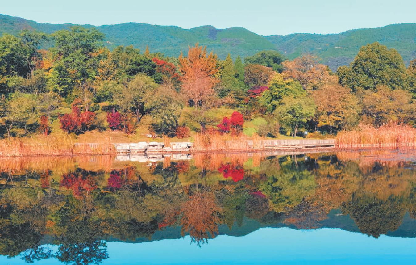 市屬公園推出20處彩葉觀賞點