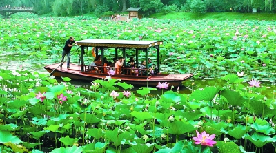 紫竹院公園竹荷文化展開幕