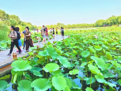 北京市公園一年接待3億人次