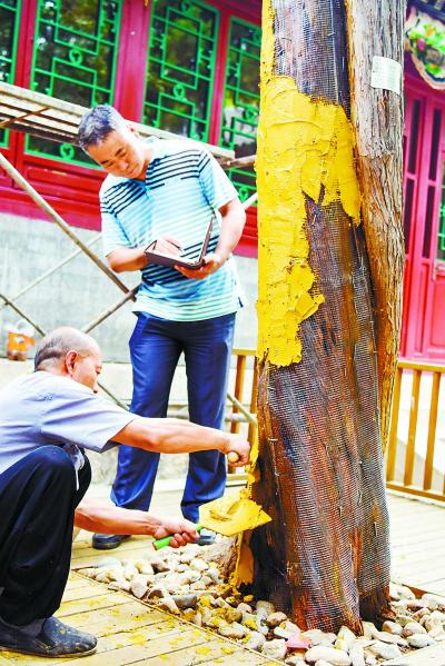 守護運河源 “龍泉漱玉”盛景再現