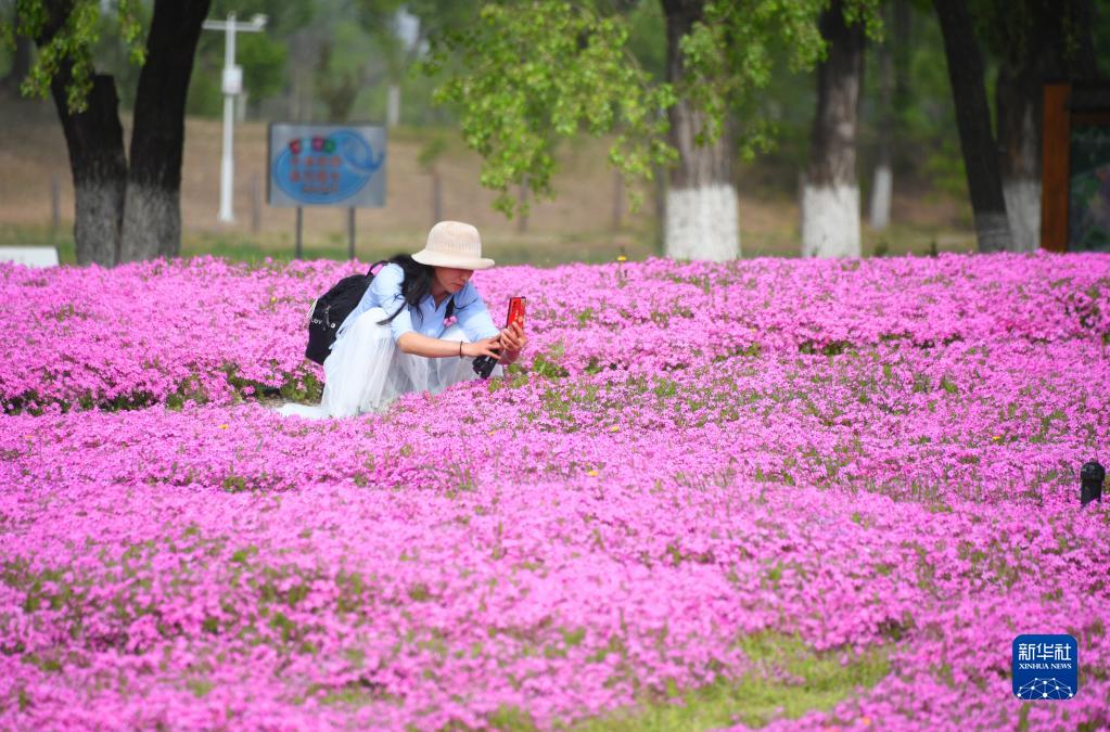 百花爭艷引遊人