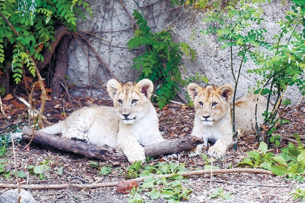 北京動物園喜添201隻小萌寶