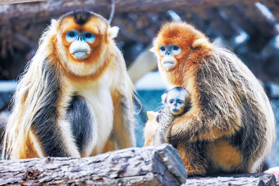 北京動物園喜添201隻小萌寶