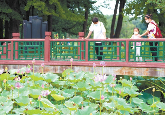 圓明園第二十七屆荷花節開幕