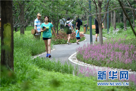 北京東城區第一處城市森林公園建成開放（圖）