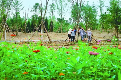 大興瀛海建築垃圾就地利用造公園