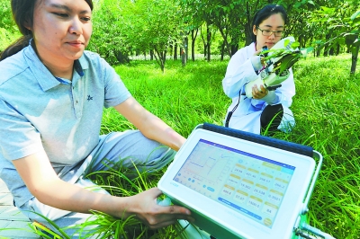 北京“土著植物” 有處展示基地