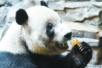 北京市屬公園中秋三天迎客123萬