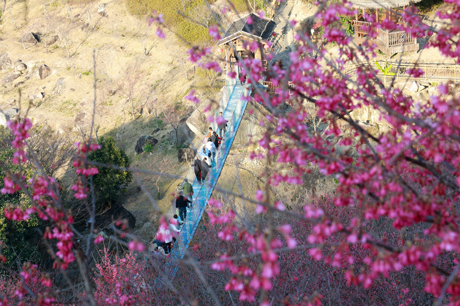 福建漳州：春滿畬寨