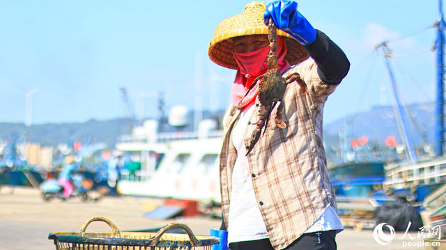 漳州東山澳角村：耕海牧漁忙秋收