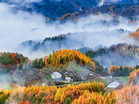 驚艷！神農架“紅坪畫廊”現雲霧美景