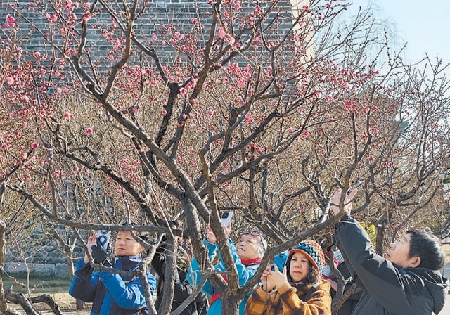 北京今年再建15處城市休閒公園