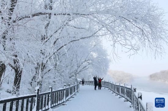 黑龍江：霧凇美景顯冬韻