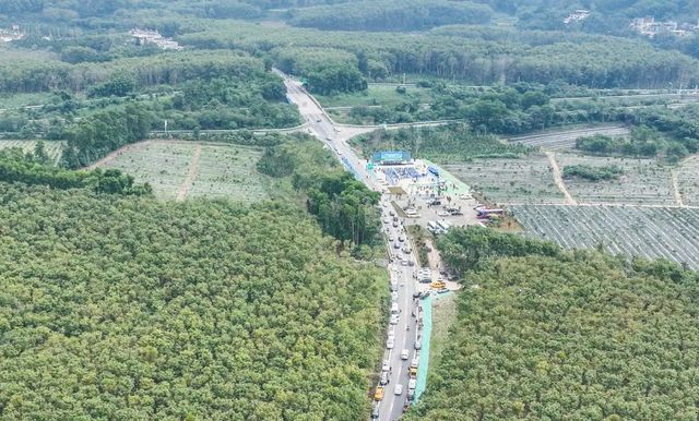 海南又開通一條旅遊公路！466公里，這次是看熱帶雨林