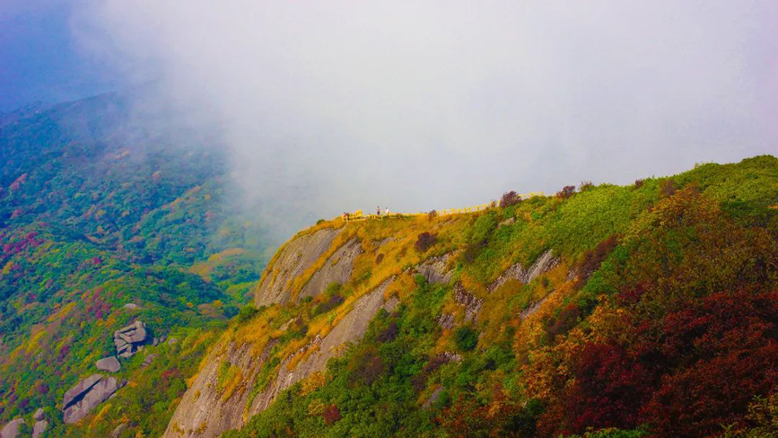 國慶假期，貓兒山“多巴胺”配色驚艷遊客