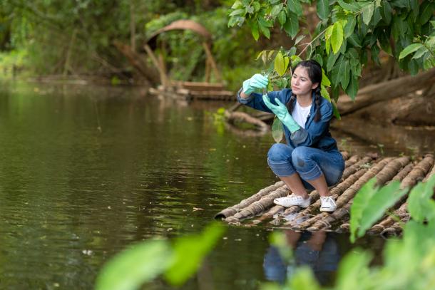 UNESCO launches the International Decade of Science for Sustainable Development (2024-2033)