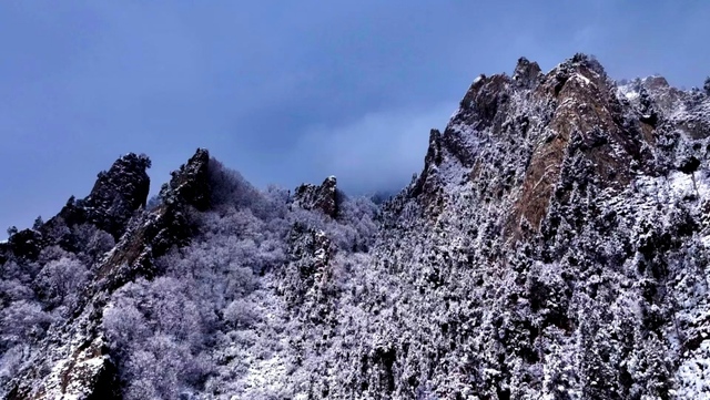 青海樂都：森林公園雪景美如畫