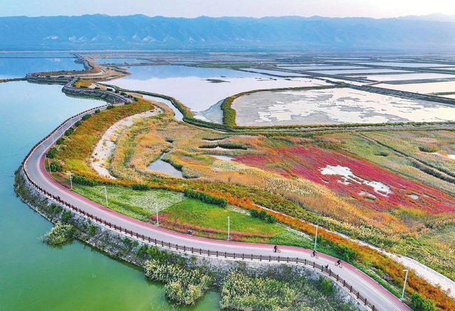 山西運城：濕地公園美如畫 市民休閒好去處