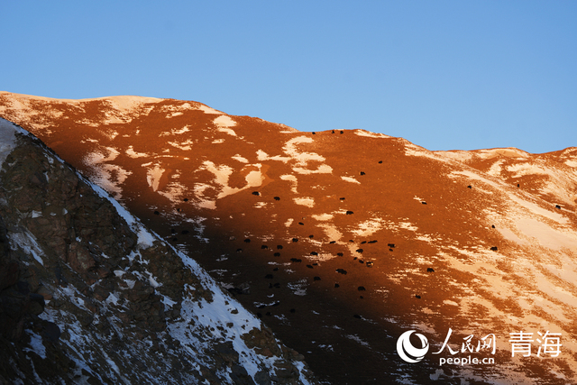 在拉脊山巔邂逅雪山日出