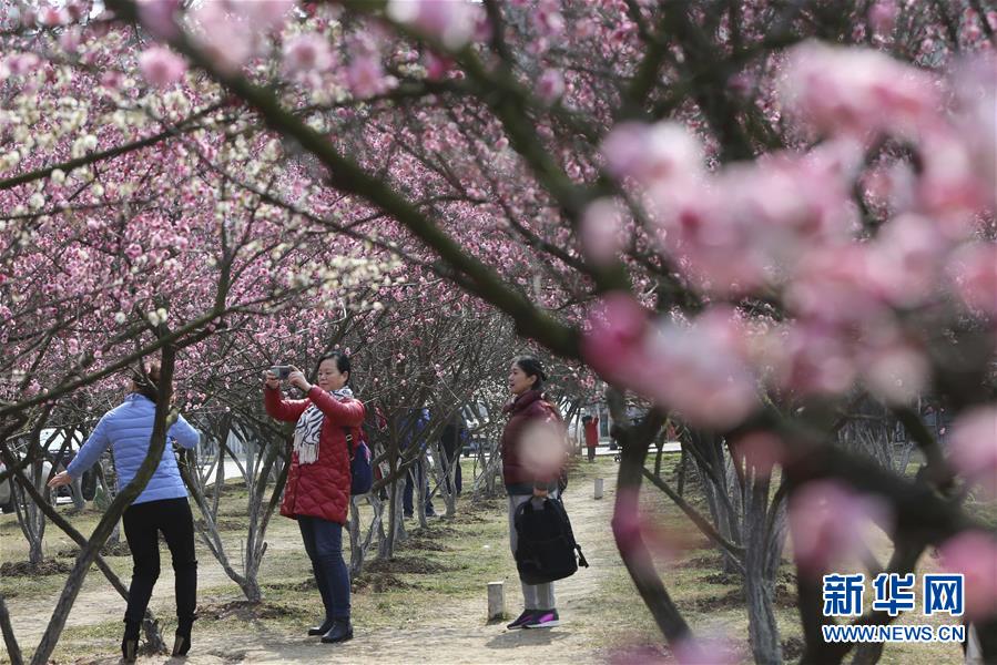 全域：春暖花開迎客來