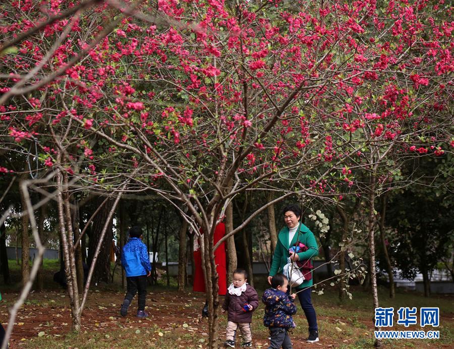 全域：春暖花開迎客來