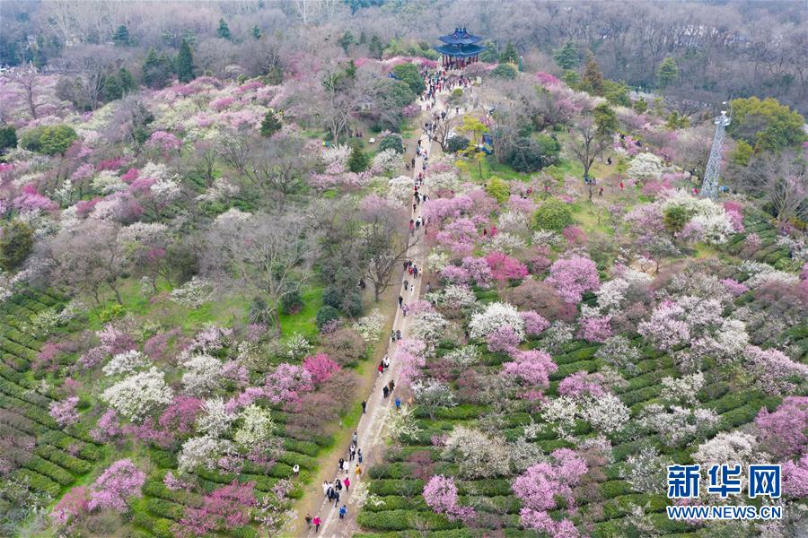 全域：春暖花開迎客來