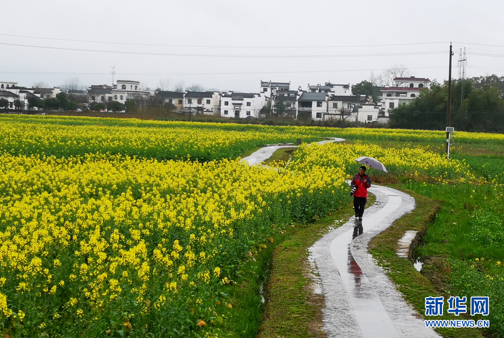 安徽：江南煙雨天 南屏花似海