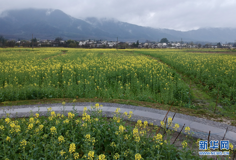 安徽：江南煙雨天 南屏花似海