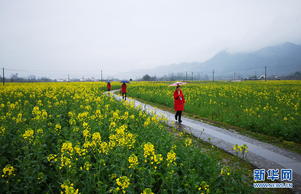 安徽：江南煙雨天 南屏花似海