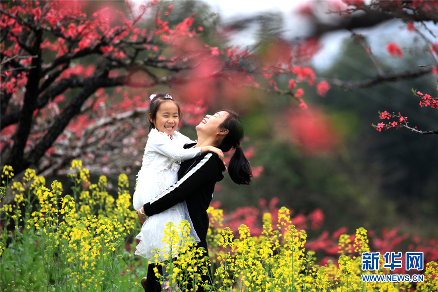 廣東連平：三月春來早 十里桃花香